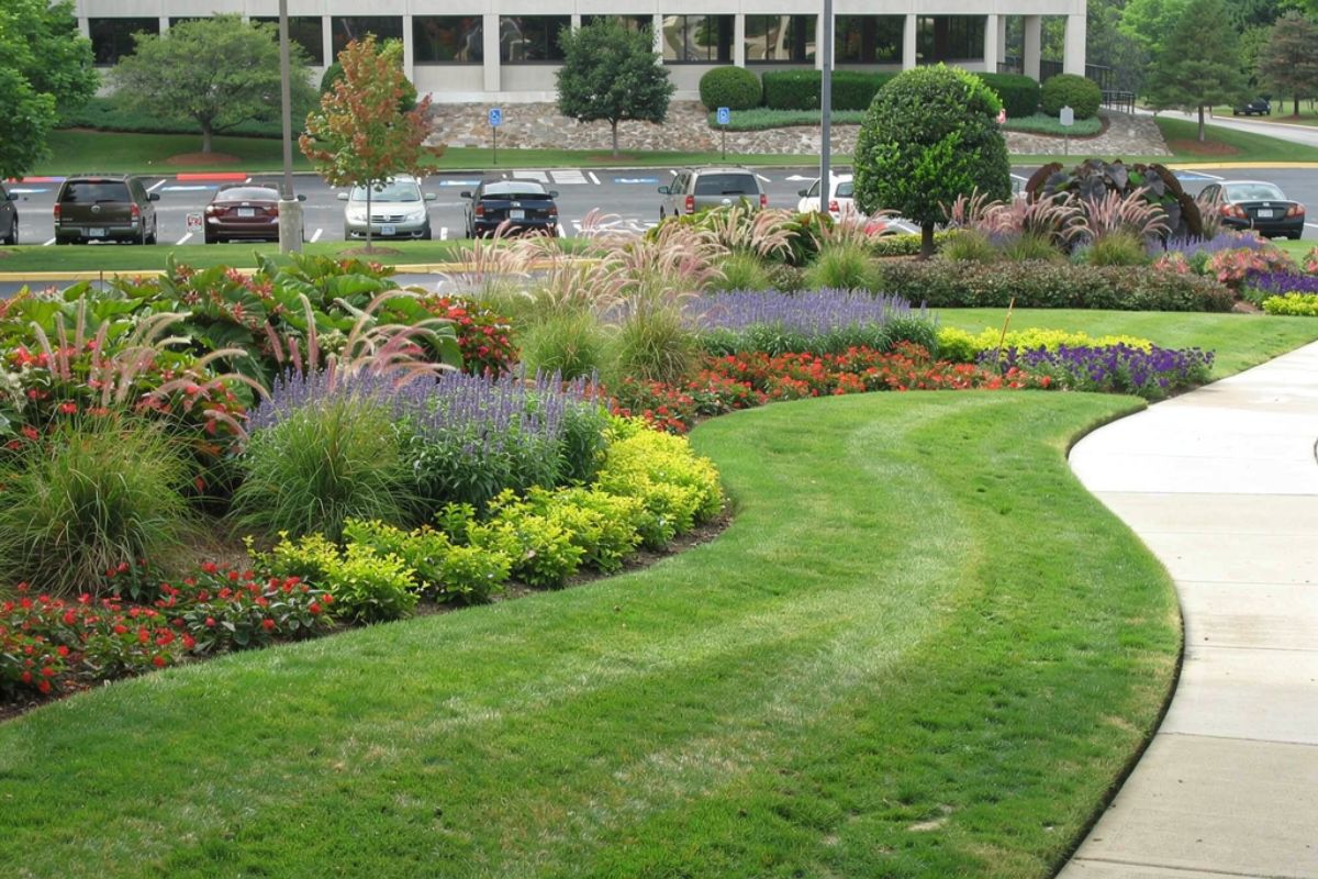 Expert Landscape Management Solutions for Commercial Properties